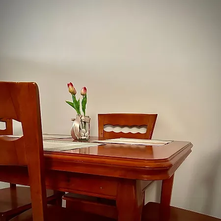 New Bazaar Cozy Tirana