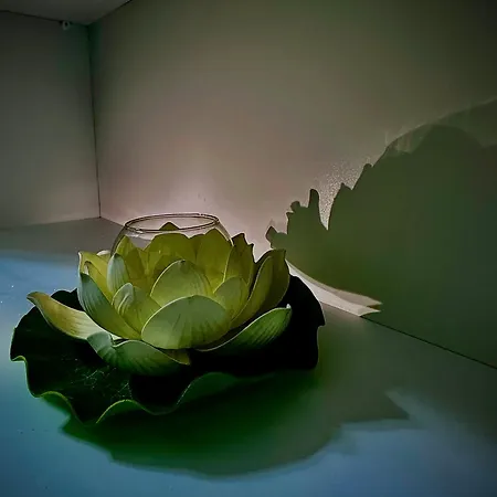 فيلة New Bazaar Cozy تيرانا