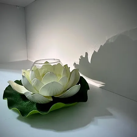 别墅 New Bazaar Cozy 地拉那