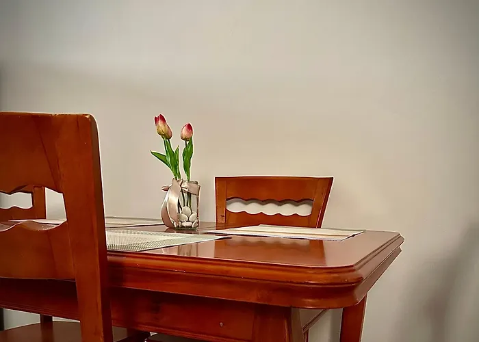 New Bazaar Cozy 地拉那