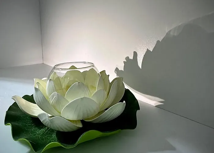 别墅 New Bazaar Cozy 地拉那